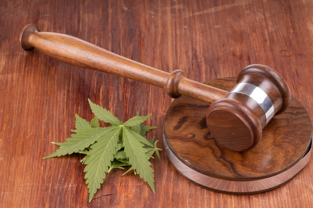 Judge’s gavel and a marijuana leaf on a table