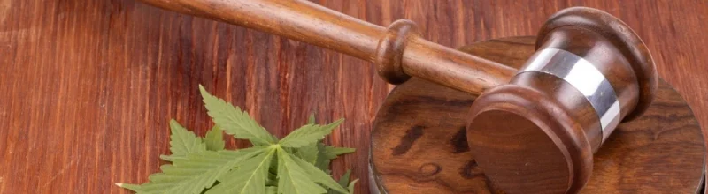 Judge’s gavel and a marijuana leaf on a table